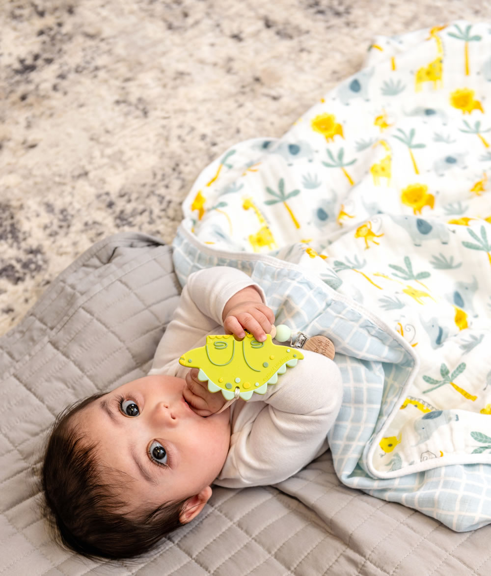 Zoo animal baby blanket