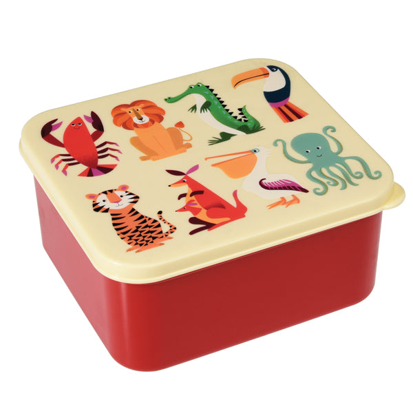 Colourful Creatures lunch box for children