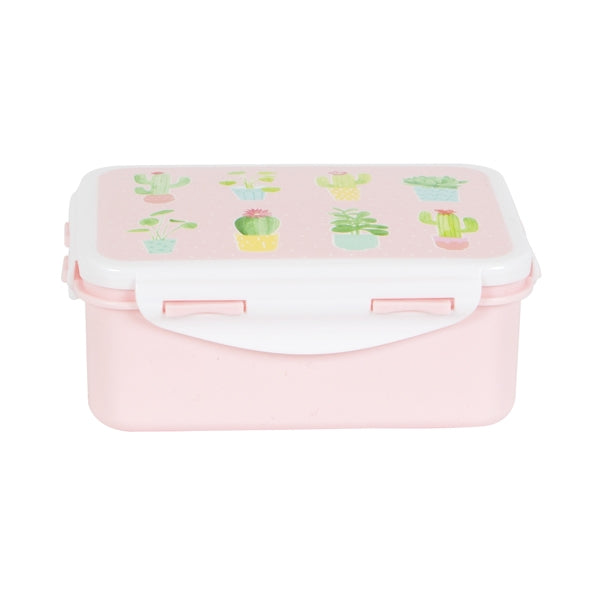 Children’s cactus lunch box