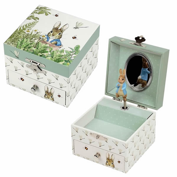 Peter Rabbit dragonfly musical box for children