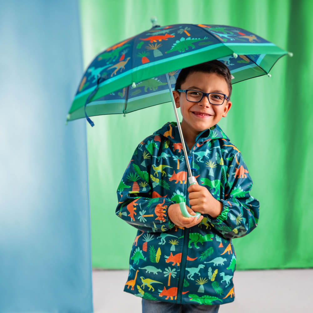 Children’s dinosaur raincoat with matching umbrella