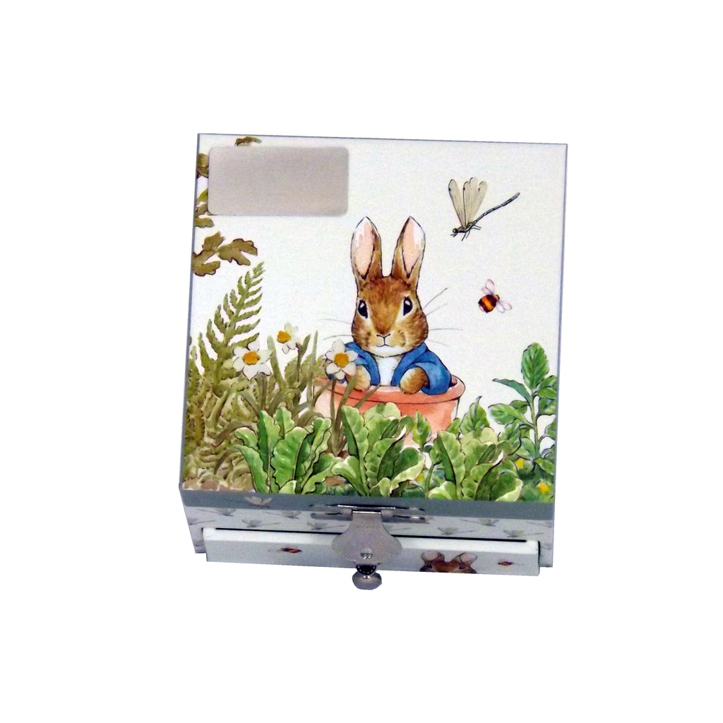 Peter Rabbit wooden music box with dragonflies