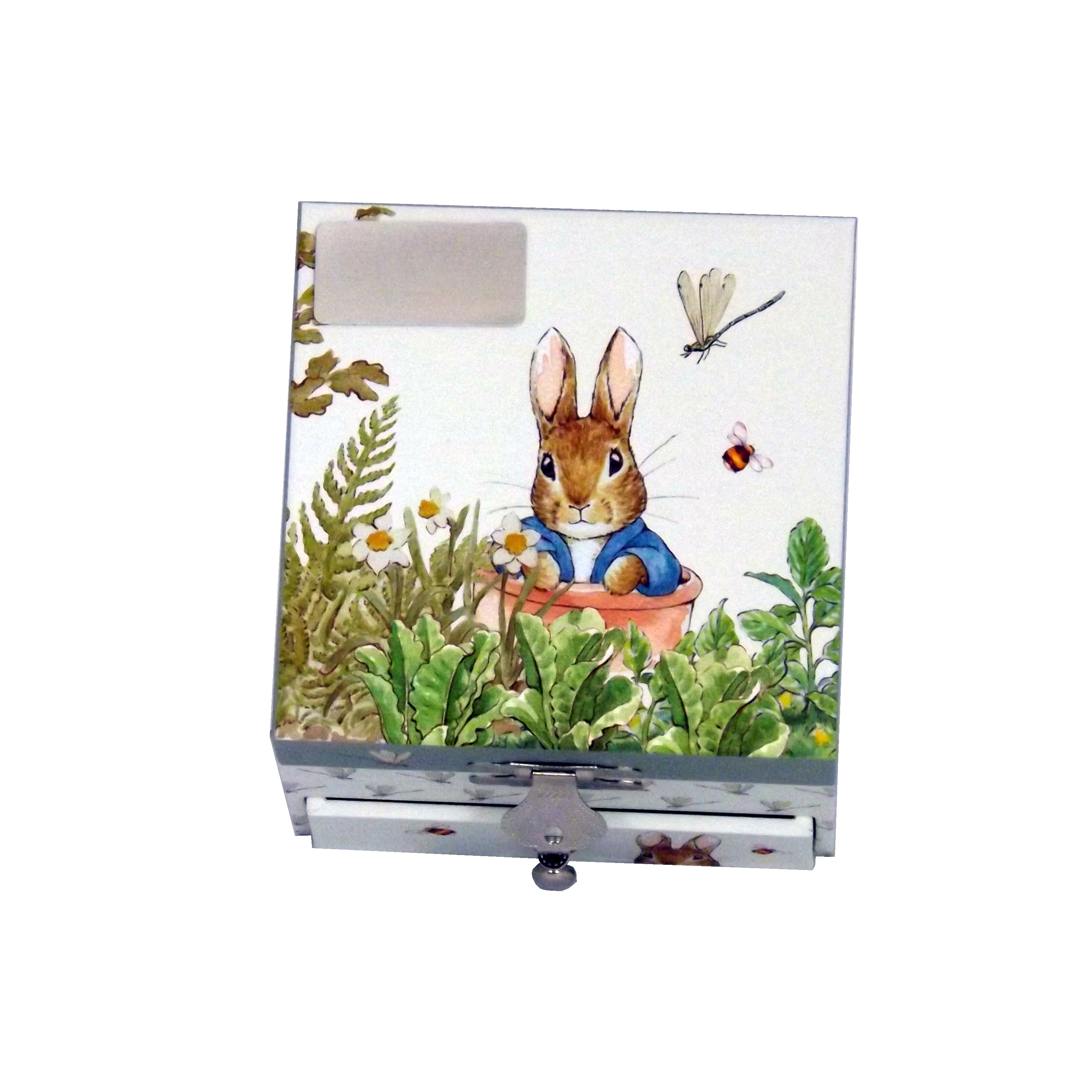Peter Rabbit wooden music box with dragonflies