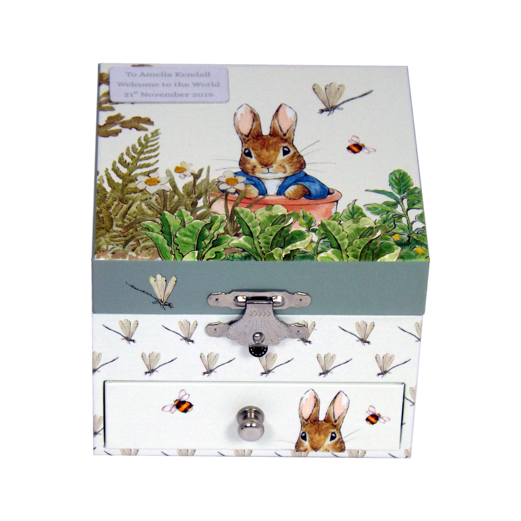 Peter Rabbit dragonflies music box detail