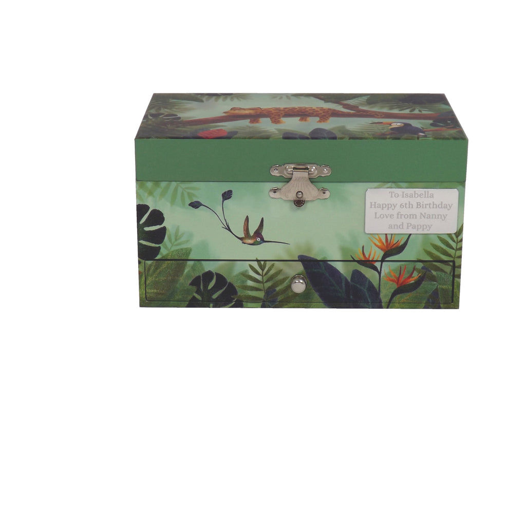 Open Savannah musical jewellery box