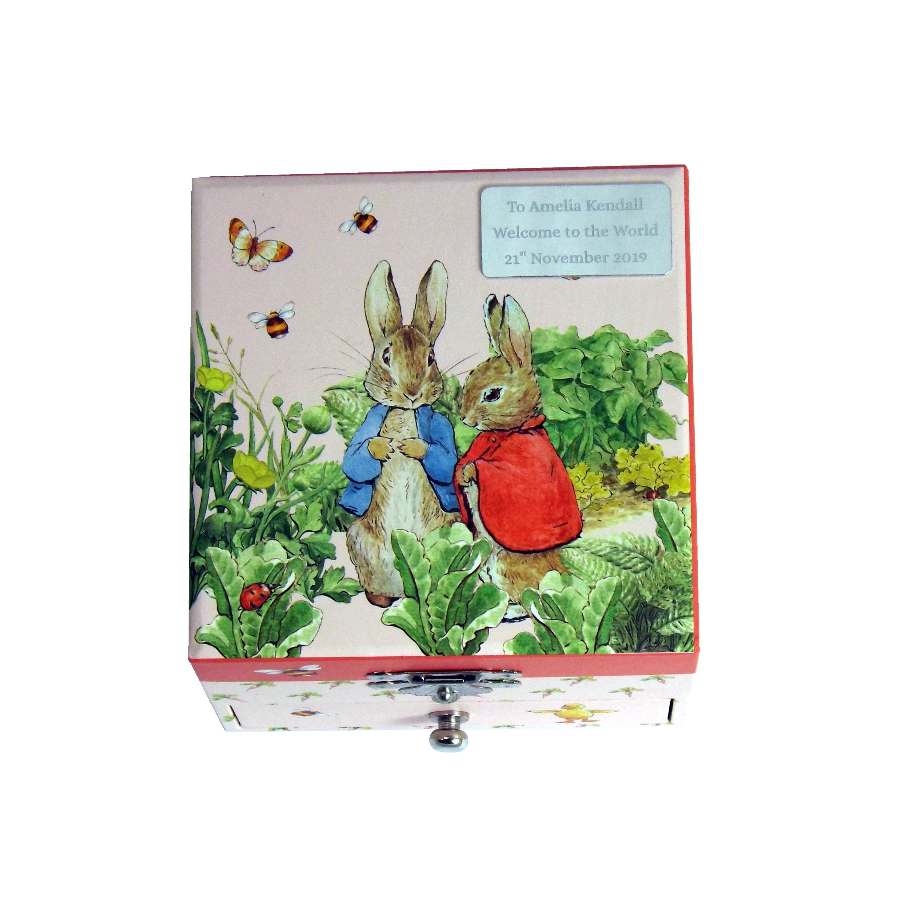 Peter Rabbit wooden music box with carrot design