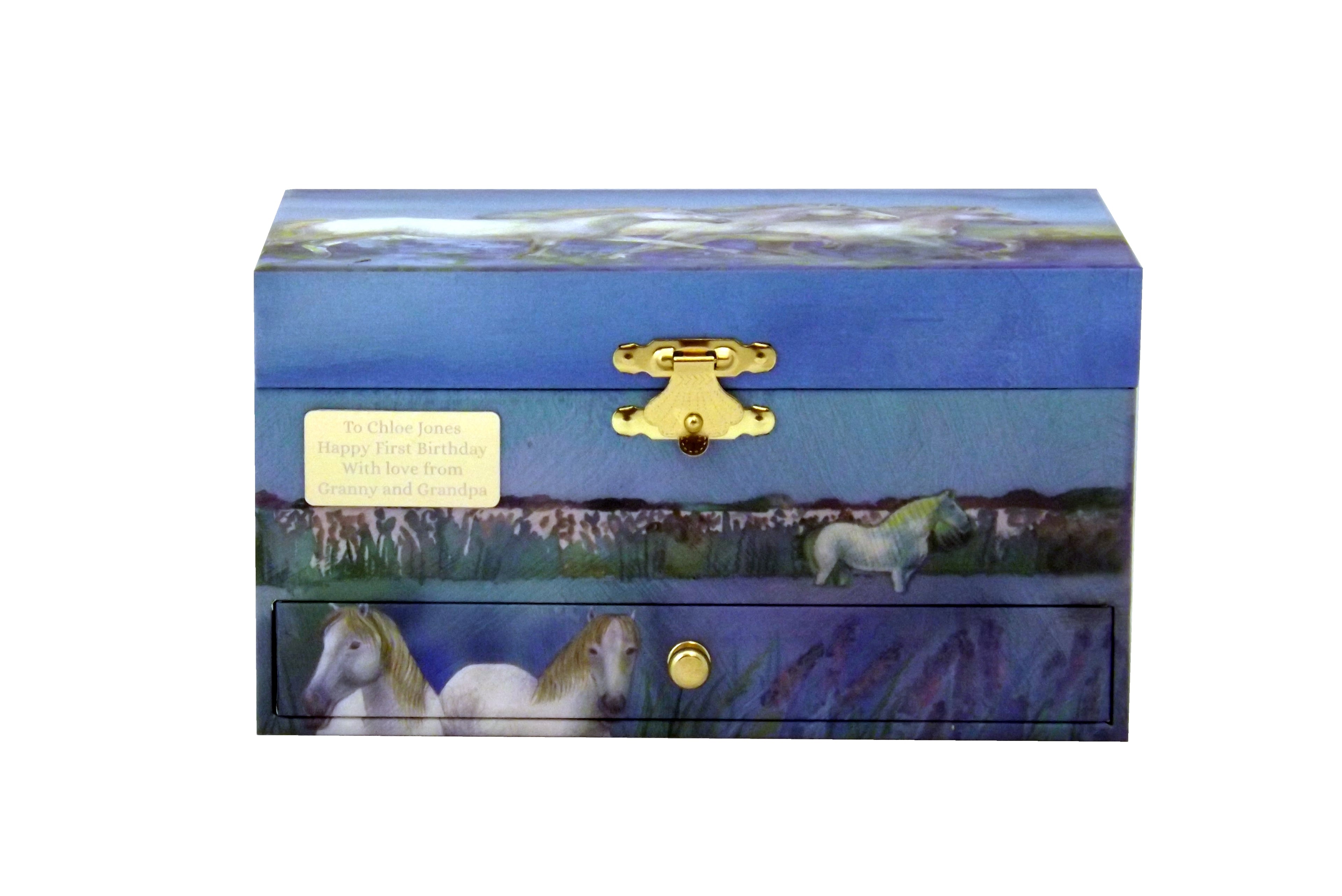 Wild horses jewellery box interior
