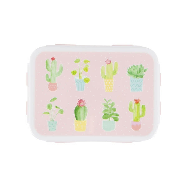 Girls’ cactus lunch box