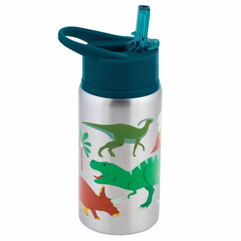Dinosaur stainless steel water bottle for children
