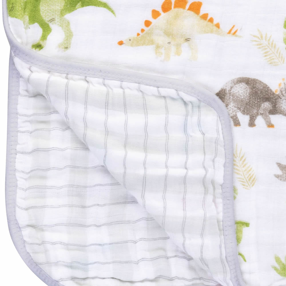 Muslin dinosaur blanket for babies