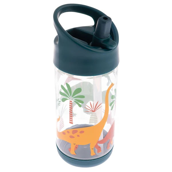 Small dinosaur water bottle for children