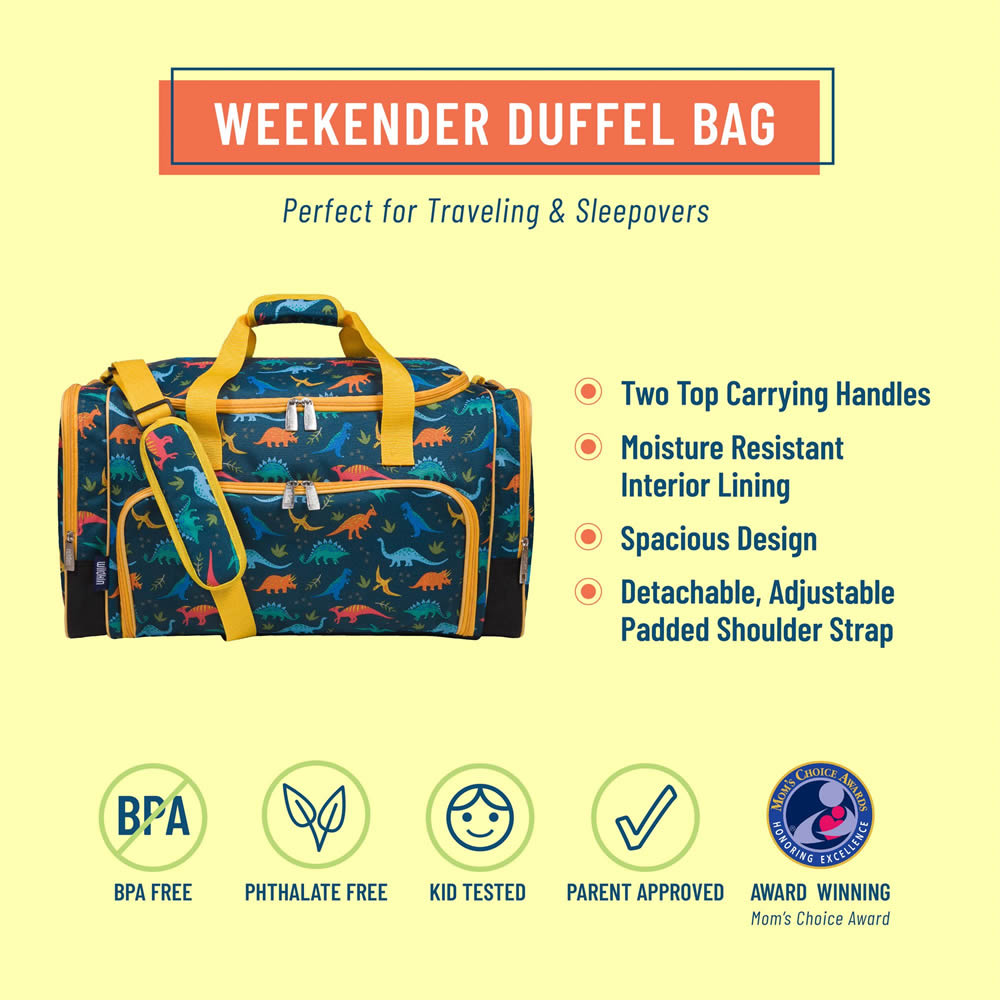 Boys’ dinosaur weekender bag